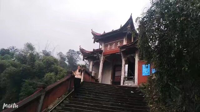 20.苟凌璞.png.jpg